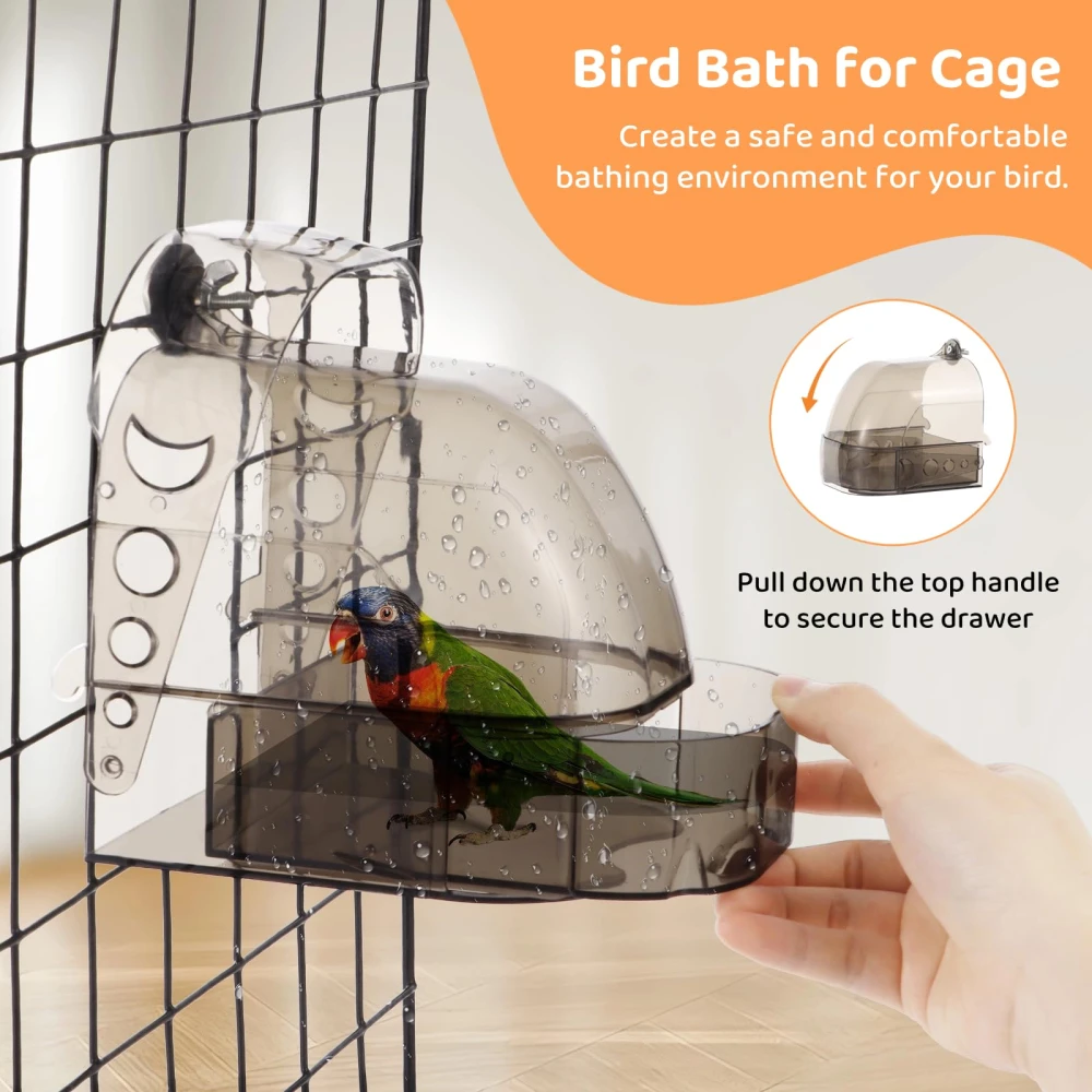 Bird Bath Box-Drawer