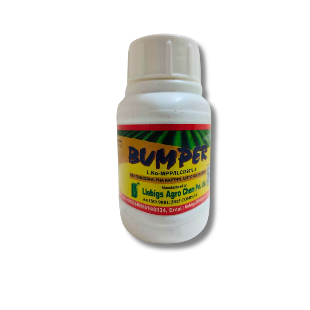 BUMPER -100ml