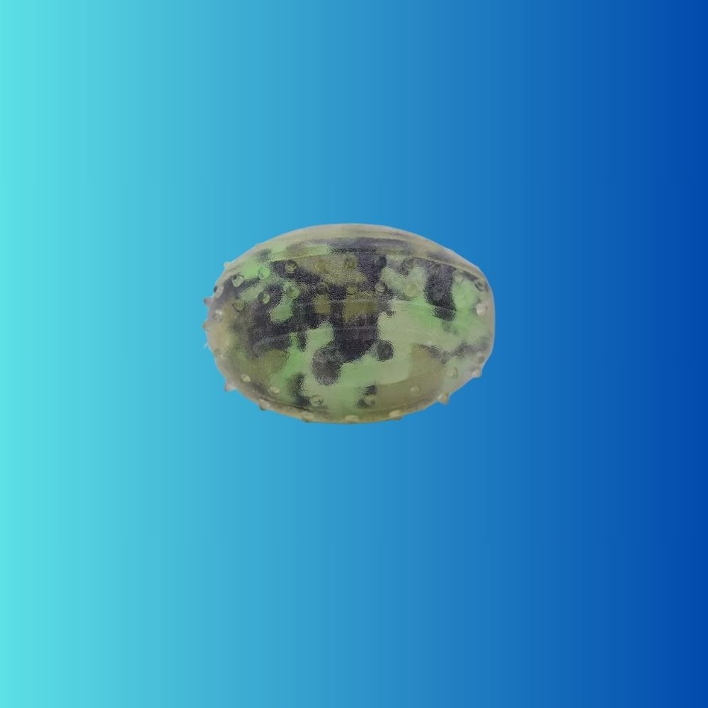 Camouflage color Dog Rubber Balls bouncy balls