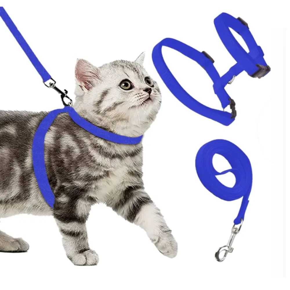 Cat Body Harness And Leash Multicolor