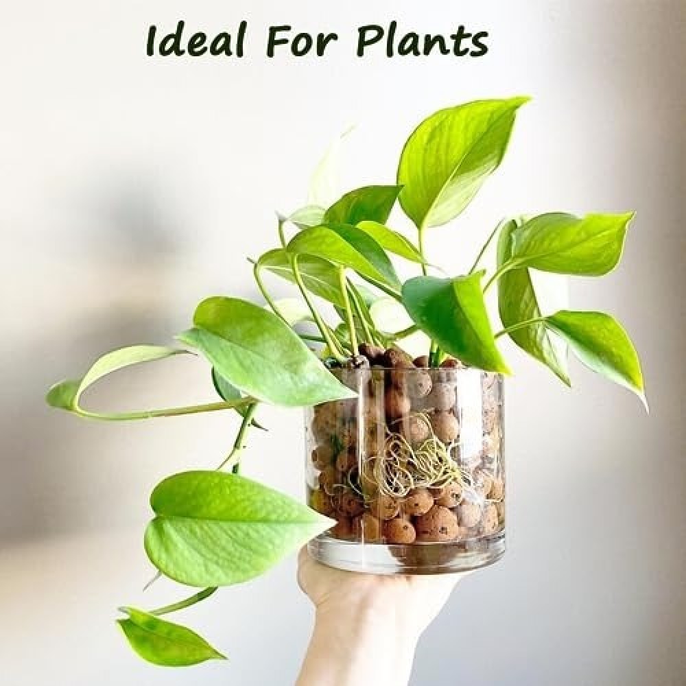 Clay Ball For Plant
