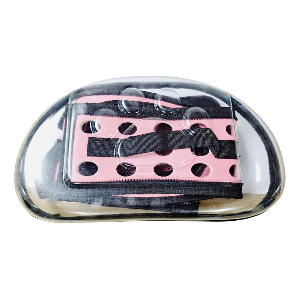 Collapsible Soft Sided Transparent Cat Carrier