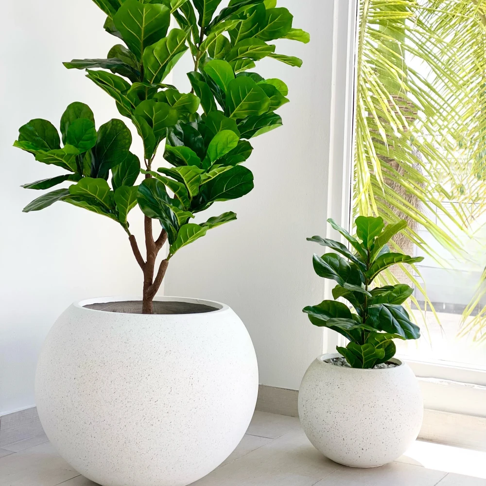 Fiberglass Planters