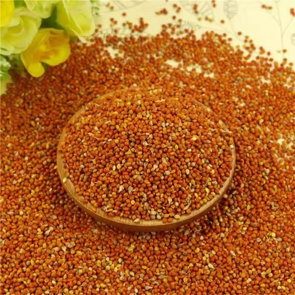 versele-laga Bird Food Kanary Seeds