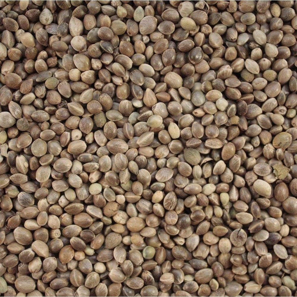 VerseleLaga Hampseed 20kg