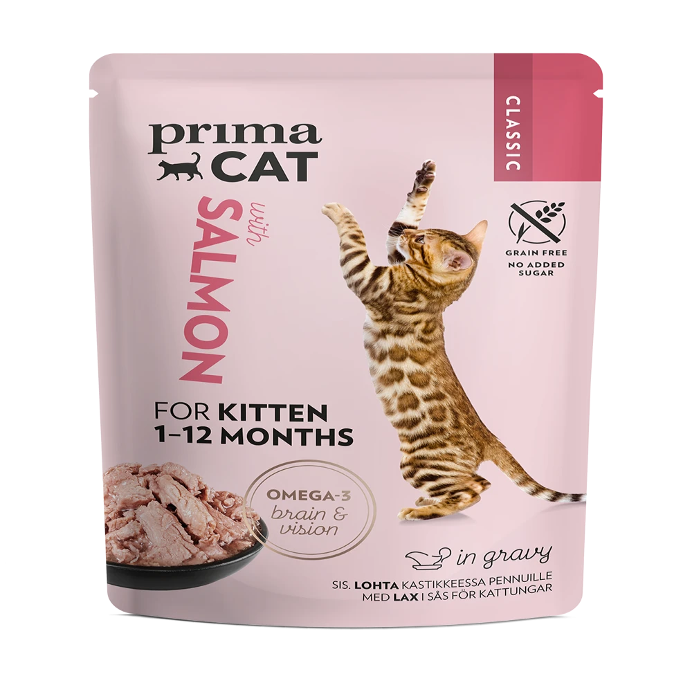 Wet cat food with salmon in gravy for kitten